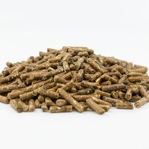 Elité Gastro Balance