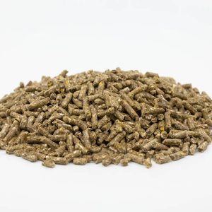 Elité Kompakt ALPHA