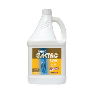 Elektrolyt flüssig 4 L