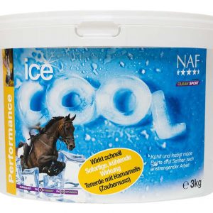 Ice Cool kühlender Lehm 3 kg